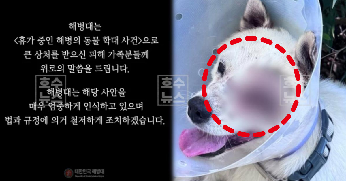 오른쪽버튼을 클릭하시면 창이 닫힙니다