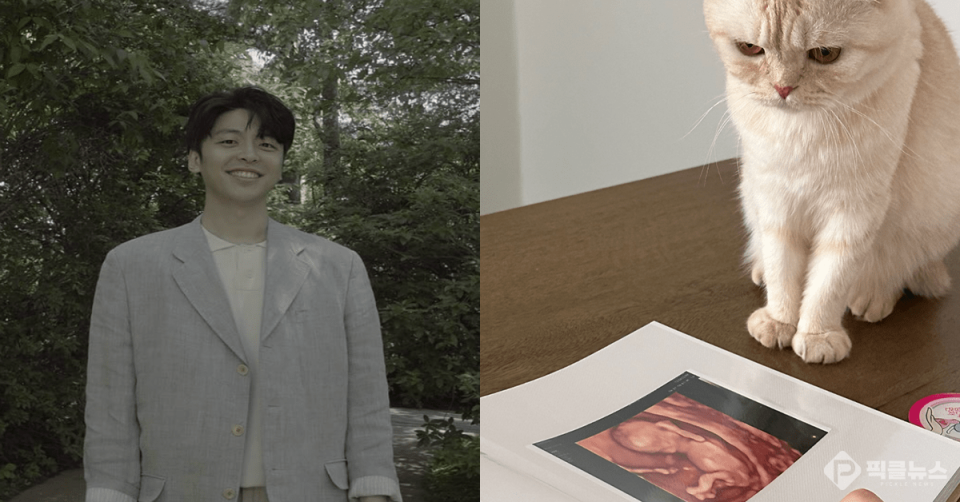 사진 = 하시2 김도균 SNS